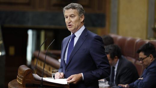 Alberto Núñez Feijóo, en el Congreso
