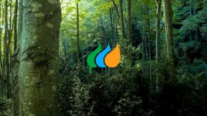 Iberdrola aportó a las arcas públicas 10.410 millones de euros en 2025