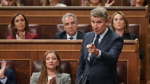 Alberto Núñez Feijóo interviene en el Pleno del Congreso