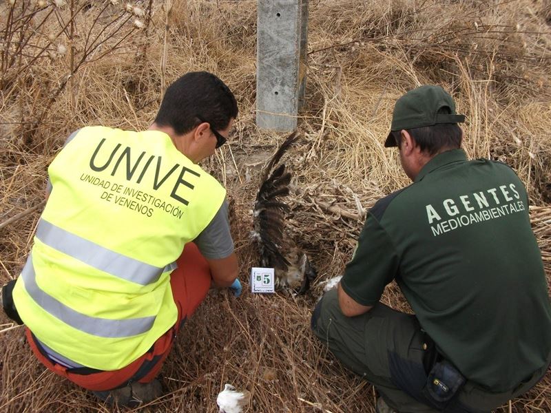 Los agentes medioambientales de Castilla-La Mancha lamentan el 'retroceso' de los últimos cuatro años
