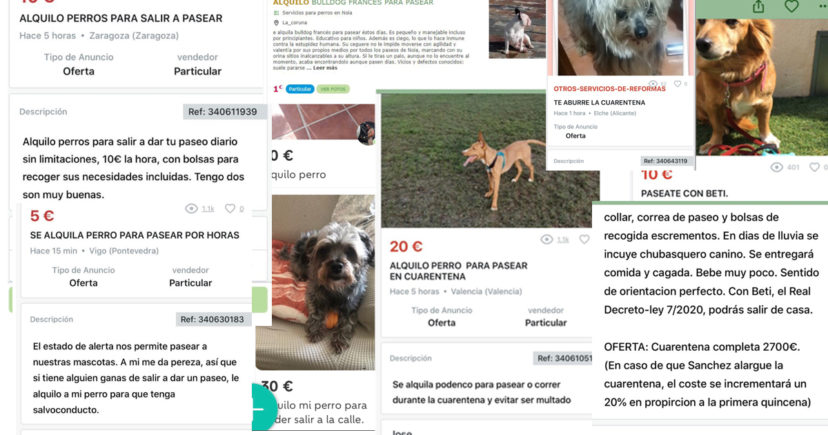 Pacma denuncia casos de supuesto alquiler temporal de perros para poder salir a la calle durante la cuarentena