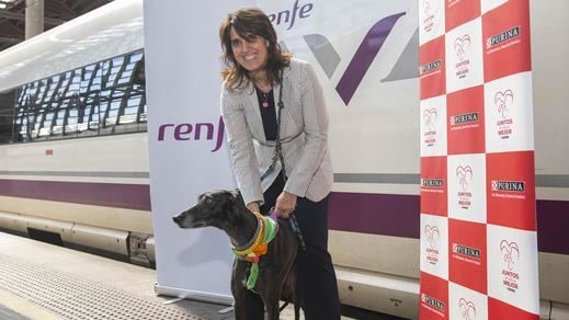 Perros en los trenes