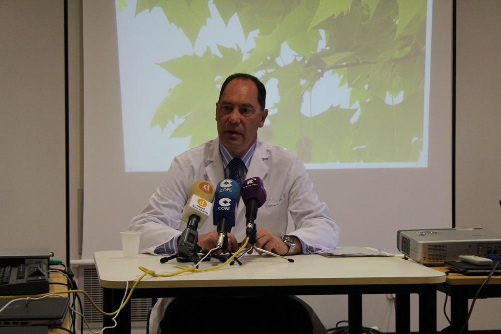 Toledo ha registrado los máximos niveles de pólenes de plátano de sombra de los últimos 20 años