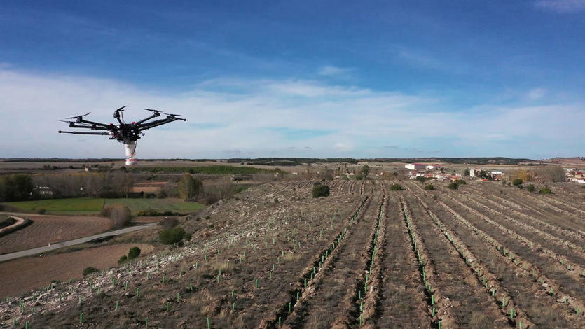 Iberdrola reforestará 4 pueblos de Castilla y León, Galicia y Cantabria comprometidos con la sostenibilidad