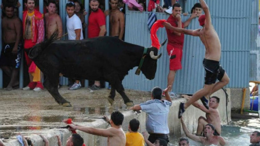 Festejo de bous a la mar en Denia