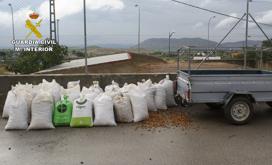 Recuperadas cinco toneladas de almendras que habían sido robadas en Liétor