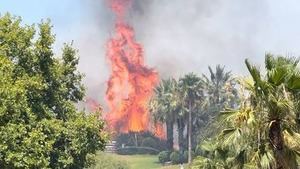 Cádiz se enfrenta a 2 catástrofes simultáneas: un incendio en la Línea y un vertido de fuel en Algeciras