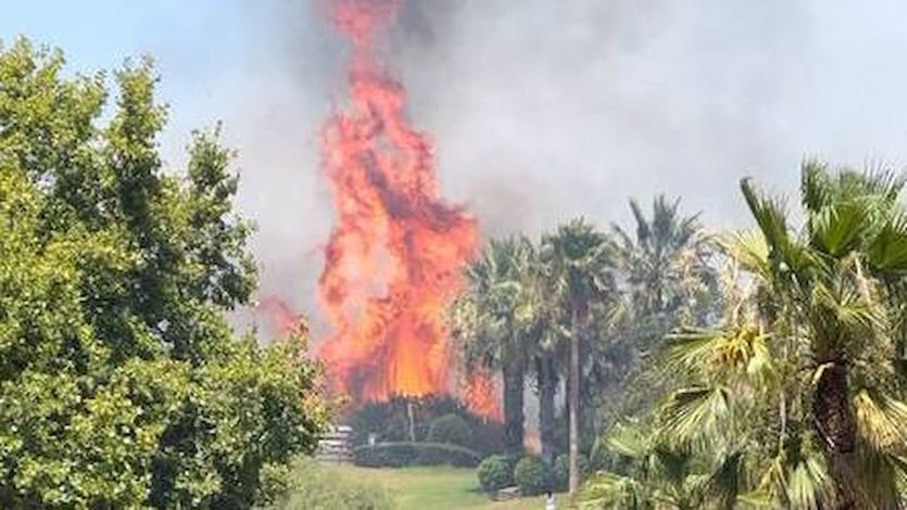 Incendio en La Línea de la Concepción (Cádiz)
