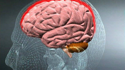 Meningitis: por qué hay que vacunarse contra esta enfermedad que vuelve a golpear