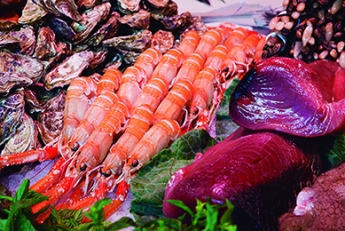 El fenómeno “La Paradeta” abre las puerta de un nuevo restaurante en la milla de oro de Barcelona.