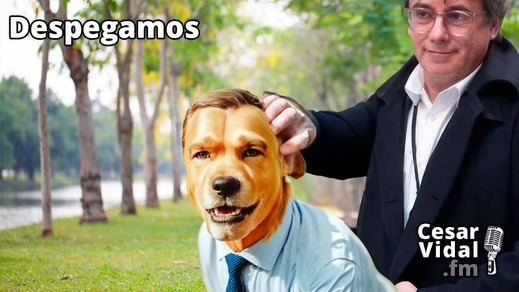 Memes Perro Sanxe con Puigdemont como dueño