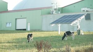 Iberdrola se adjudica cuatro proyectos de innovación agrovoltaicos en Francia