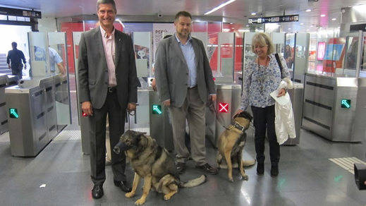 Metro de Madrid permitirá el acceso a los perros en toda la red sin las restricciones actuales