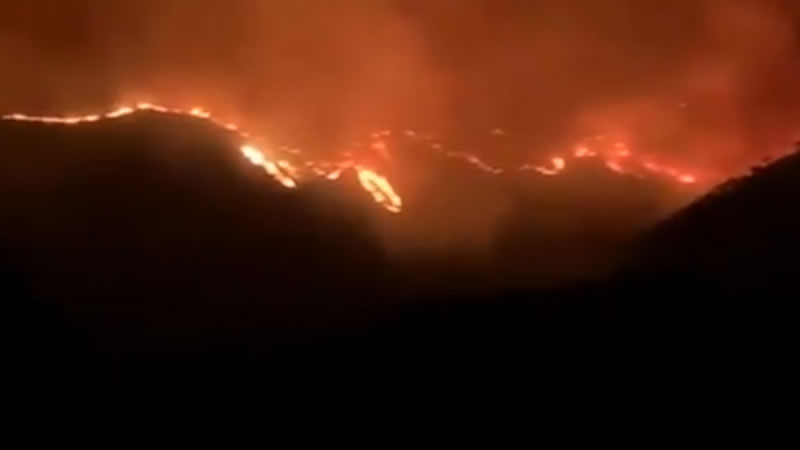 El incendio de Sierra Bermeja da una tregua y regresan a casa 1.054 personas desalojadas