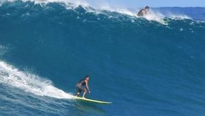 Un tiburón mata a Tamayo Perry, actor de 'Piratas del Caribe' y surfista profesional