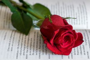 Día de Sant Jordi: libros y rosas