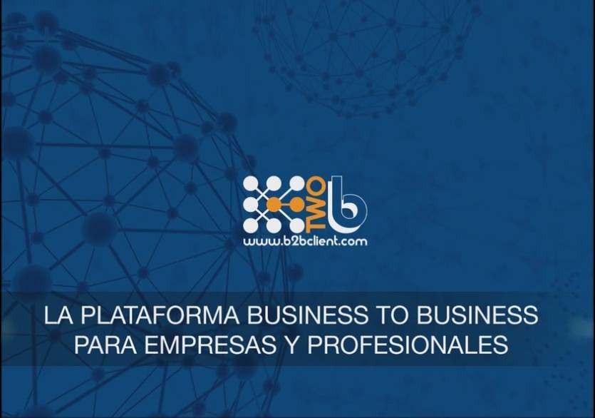 B2B CLIENT para empresas y profesionales, la red business to business