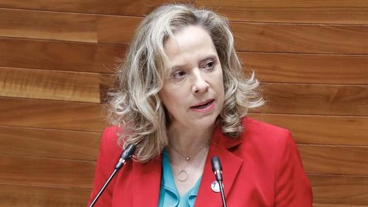 Belarmina Díaz, consejera hasta ahora de Industria  del Ejecutivo asturiano
