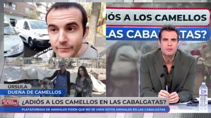 Polémica por el bienestar de los camellos en las cabalgatas de Reyes