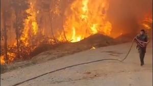 Estado de emergencia en Chile por los incendios: 51 muertos y más de 40.000 hectáreas calcinadas