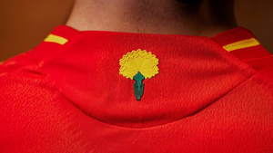 Un clavel amarillo, la gran novedad de la nueva camiseta de la selección española