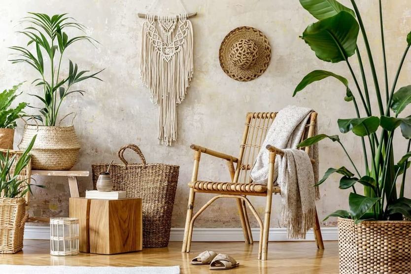 Cómo elegir y decorar tu hogar con plantas de interior y exterior