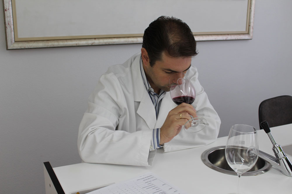 DO La Mancha augura una muy buena calidad en los vinos de la Añada 2015