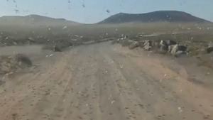 Un enjambre con centenares de langostas mantiene en vilo a Lanzarote: ¿hay riesgo de plaga?