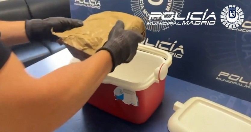 La nevera con la cocaína intervenida