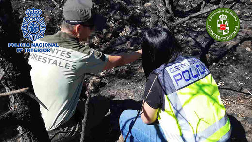 Detenido un hombre que llevaba 8 años provocando incendios forestales