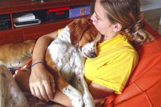 140.000 perros y gatos se abandonaron España en 2014