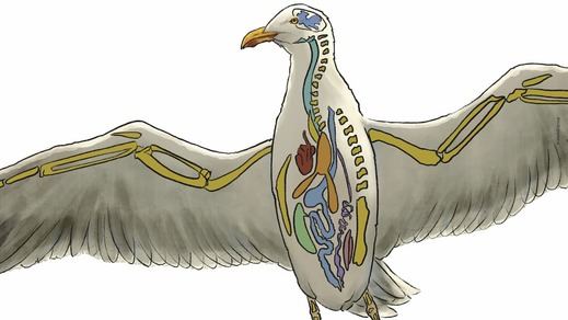 'La gaviota' en versión de Irina Kouberskaya