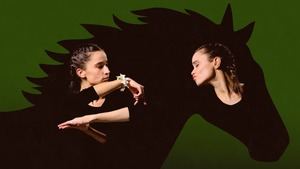 Crítica de la obra de teatro 'Grito, boda y sangre': silencio, emoción y arte a raudales