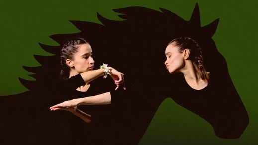 Imagen promocional de 'Grito, boda y sangre'