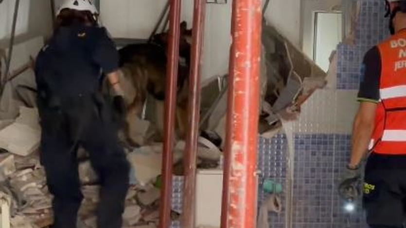 Guía canino entre los escombros del edificio donde sucedió la explosión