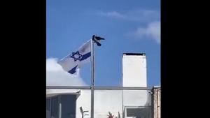 El vídeo viral de un cuervo rompiendo la bandera de Israel: ¿realidad o bulo?