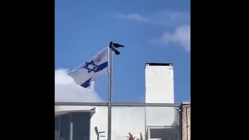 Cuervo rompe la bandera de Israel