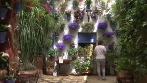 Los Patios de Córdoba inundan las redes: los más comentados