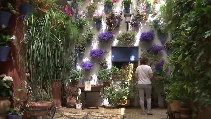 Patios de Córdoba