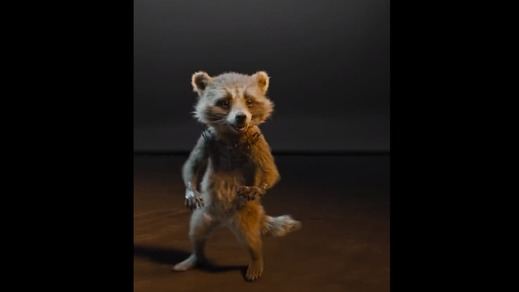 'Guardianes de la Galaxia 3' recibe un premio de PETA por su mensaje animalista