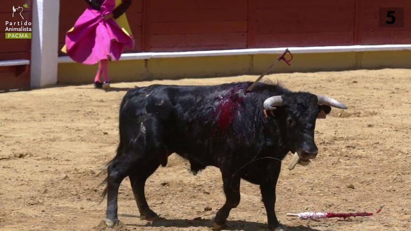 Corrida de toros