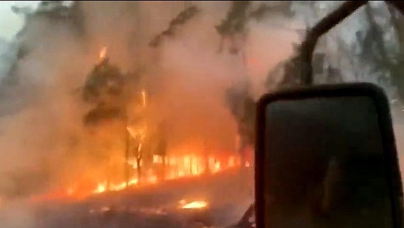 Balance por los incendios en Australia: 430 millones de euros en pérdidas, 25 personas muertas, millones de animales...