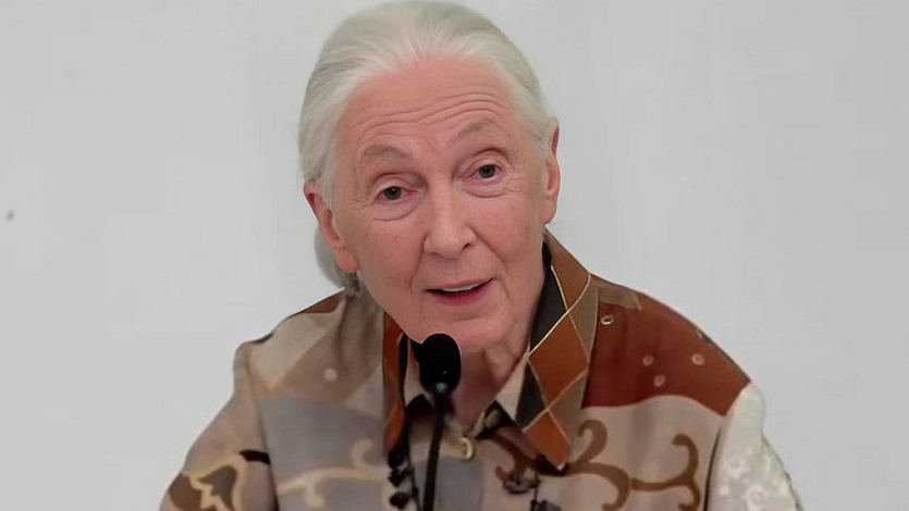 Jane Goodall