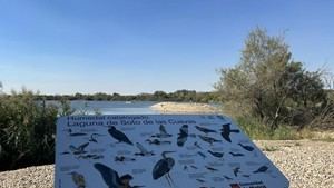 Restauran la Laguna de Soto de las Cuevas en Aranjuez para enriquecer su ecosistema
