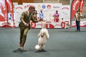 100x100mascota celebrará su 12ª edición el 27 y 28 de mayo