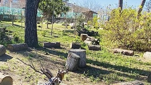 Talleres de Biodiversidad en Móstoles