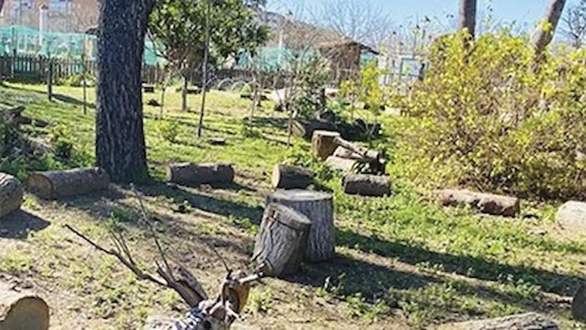 Talleres de Biodiversidad en Móstoles