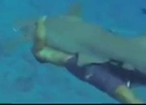 El peligroso abrazo de un turista a un tiburón