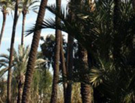 Campus Party premia a jóvenes europeos