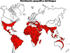 Dengue pone en alerta a Querétaro; hay 51 casos más